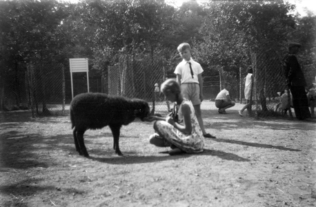 805435 Afbeelding van de jonge Mary Balfour van Burleigh bij een schaap in Ouwehands Dierenpark aan de Grebbeweg te Rhenen.